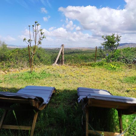 Complejo Rural Del Molino Dorado Villa Facinas Ngoại thất bức ảnh