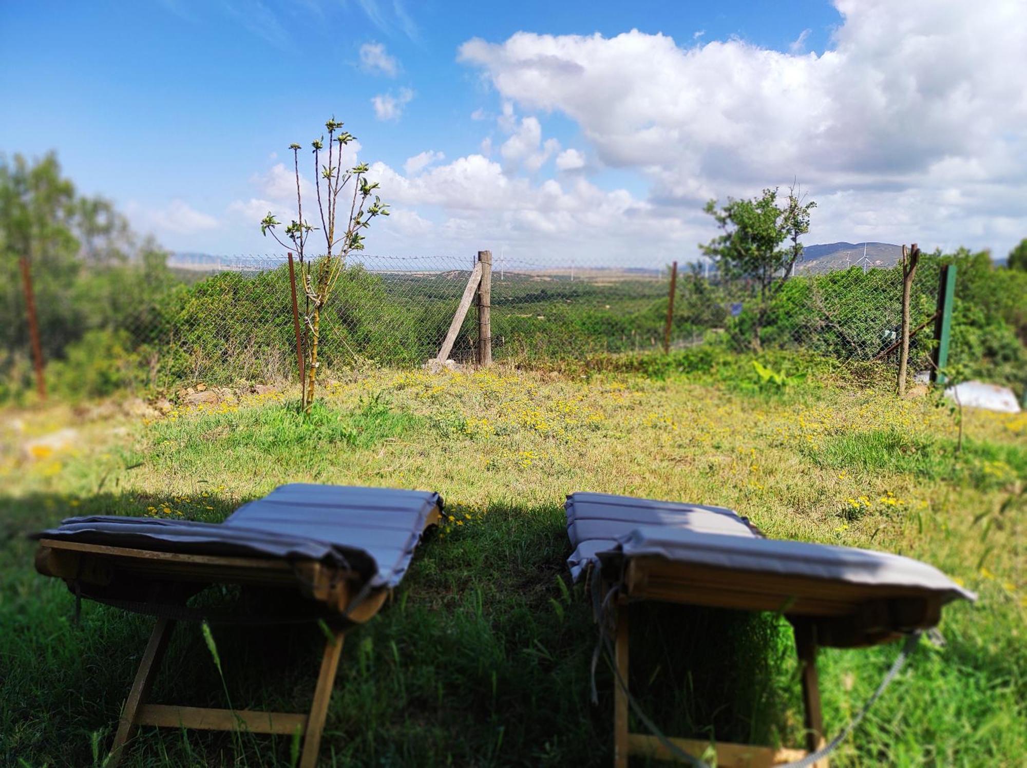 Complejo Rural Del Molino Dorado Villa Facinas Ngoại thất bức ảnh